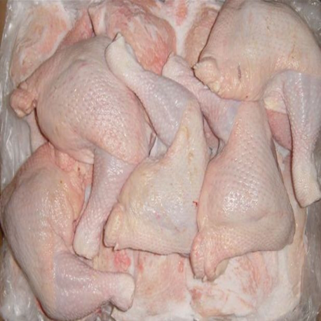 Where Can I Buy Frozen Chicken Feet and Paws Wholesale