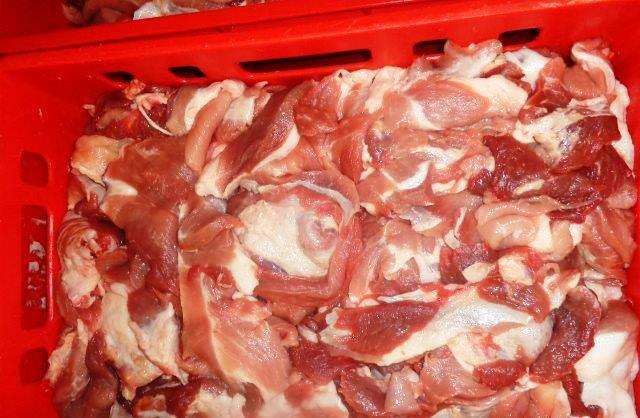 Frozen Meat Supplier